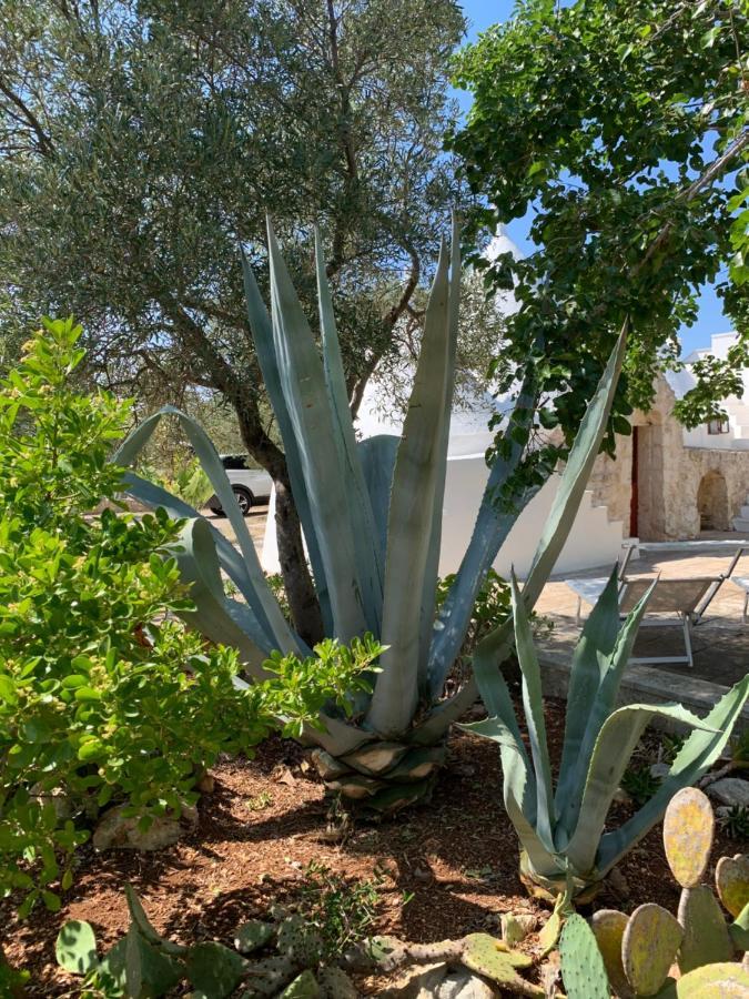 Villa Trullo Tojo Ostuni Exterior foto